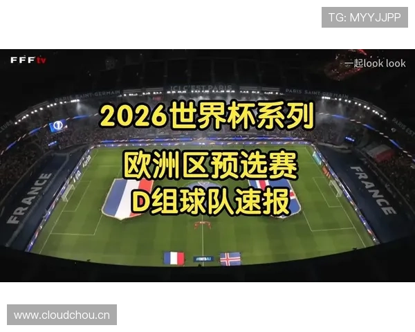 世界杯D组黑马球队数据报告